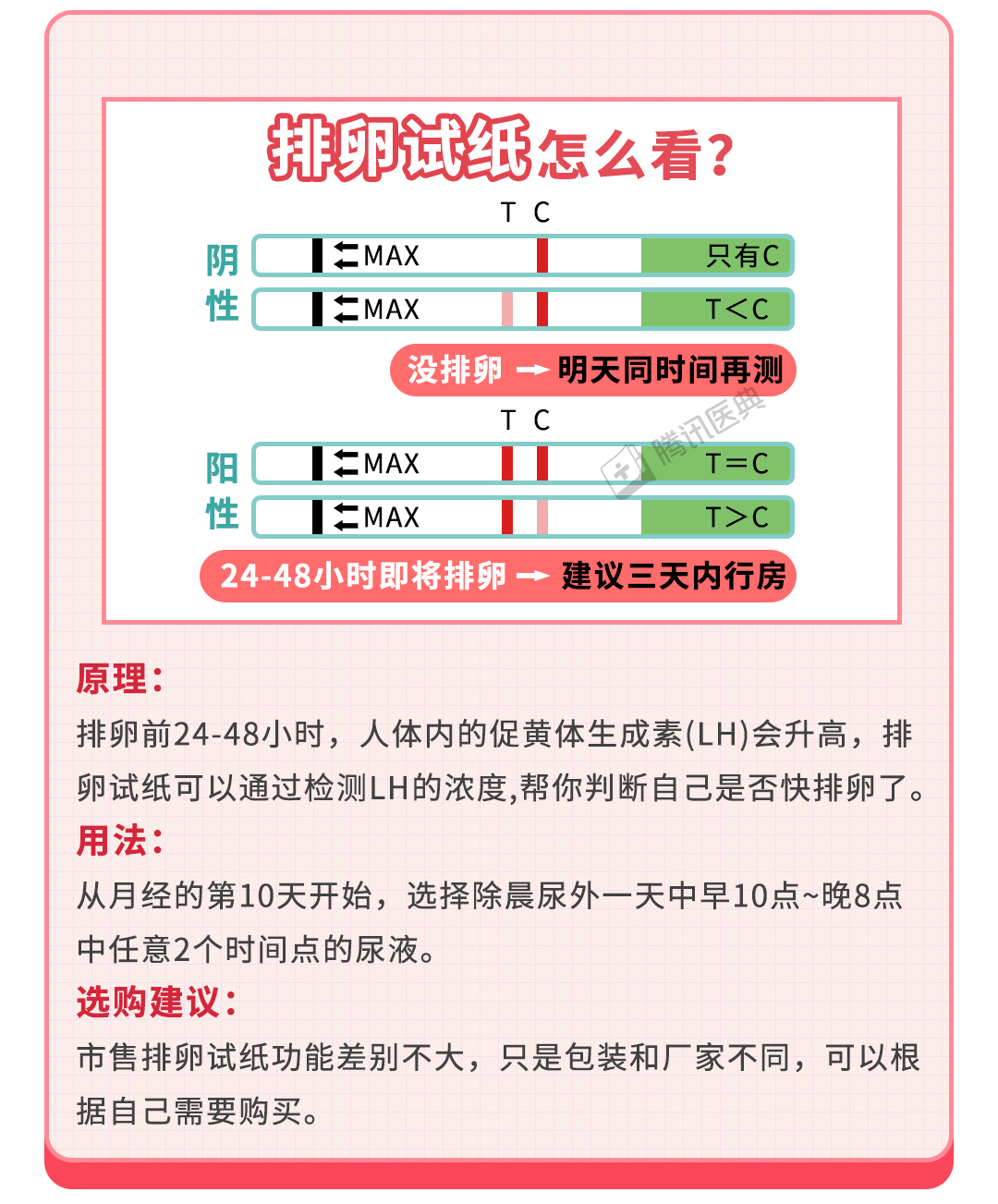 您了解自己的排卵吗-安徽农业大学校医院
